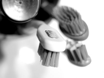 Stabile relazione sentimentale