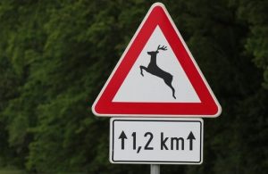 Segnale stradale triangolare di pericolo con un cervo che salta e indicazione 1,2 km per rischio animali selvatici
