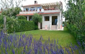 Un ampio giardino verde con lavanda in primo piano e una casa con portico e tetto in tegole rosse sullo sfondo, che evoca il Bonus Verde